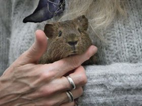 2018-06-06 Charlotte (c) Jason Grossman.jpg